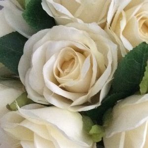 Meet your Posher, Jenn